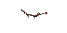 Reindeer Antlers
